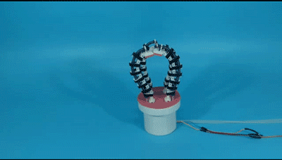 0.gif